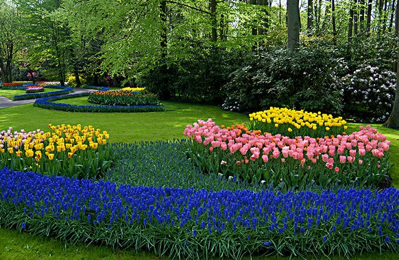 荷兰库肯霍夫花园